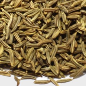 CARAWAY-800x800