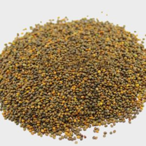 ROCCA-SEEDS-800×800 ROCCA-SEEDS-800x800