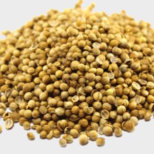 coriander-800×800 coriander-800x800