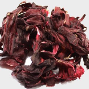 hibiscus hibiscus