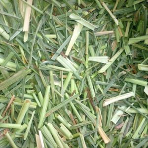 lemon grass 108